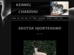 deerhounds.dinstudio.no