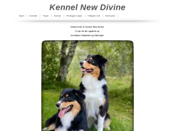 www.kennelnewdivine.no